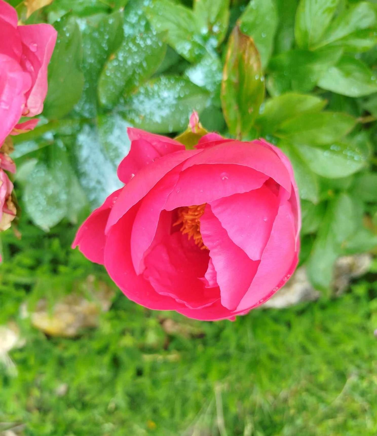 Gite Des Fours Agonges Esterno foto