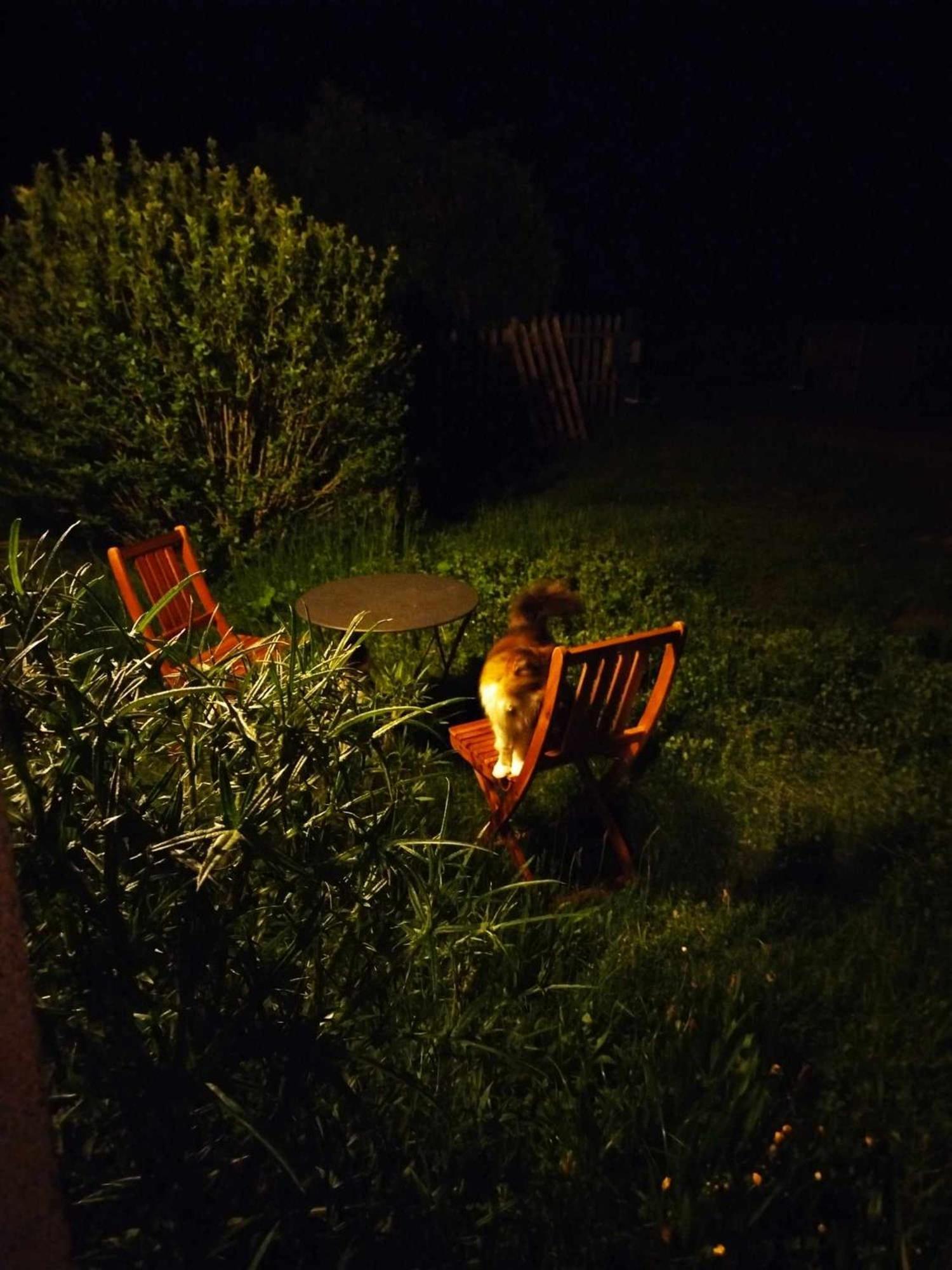Gite Des Fours Agonges Esterno foto