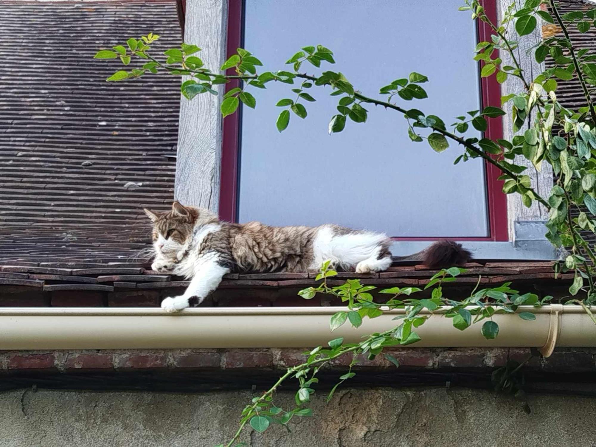 Gite Des Fours Agonges Esterno foto